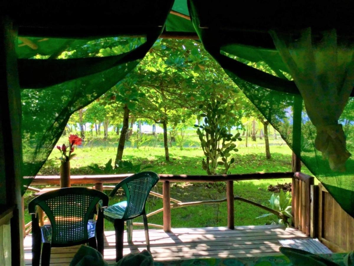 Puerto Jiménez Waleskas Place B&B 외부 사진